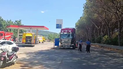 Incendio in pineta: strada chiusa, vigili del fuoco in azione