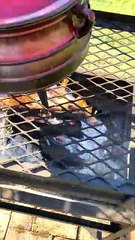 Lamb pot for two😋