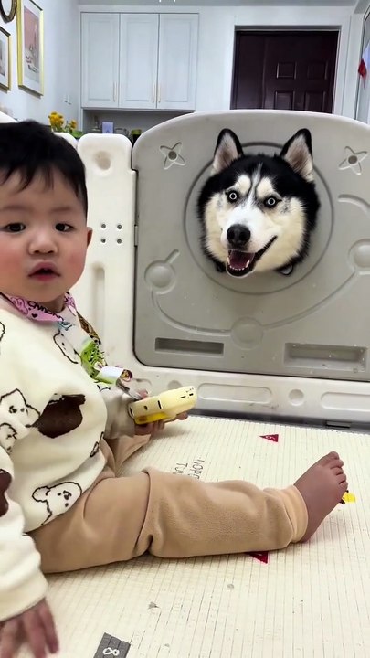 Son's Protector 🐶