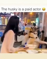 He's a paid actor he's great 👍 ❤️