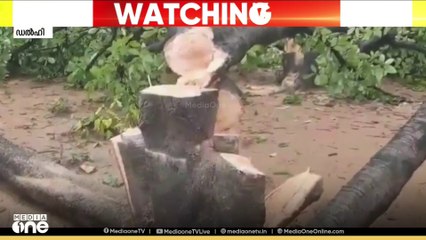 ഛത്തീസ്ഗഡിലെ റായ്ഗഡിൽ അദാനിയുടെ    കൽക്കരി ഖനിക്കായി വൻതോതിൽ   മരങ്ങൾ മുറിക്കുന്നതായി റിപ്പോർട്ട്