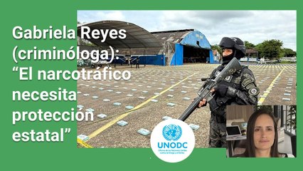 Alerta Bolivia, la droga se mueve en clanes familiares