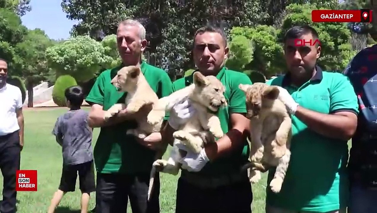 Gaziantep’te Cumhurbaşkanı Erdoğan’a hediye edi...