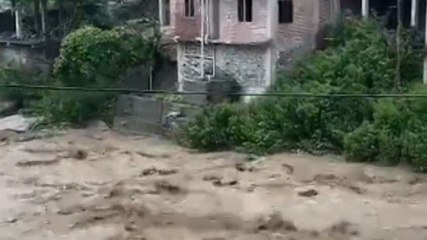 Himachal Pradesh में बारिश से तबाही!