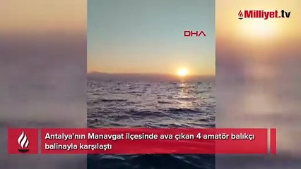 Amatör balıkçılar denizin ortasında şoke oldu! İlk defa görüldü: Tam 20 metrelik dev