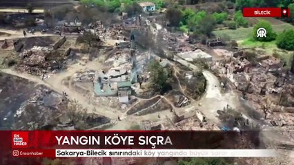 Sakarya-Bilecik sınırındaki köy yangında büyük zarar gördü