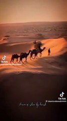 MOHARRAM KY SHAHAADATON KA SAFAR