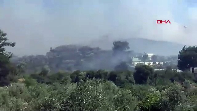 İzmir'de büyük orman yangını: Yangın yerleşim yerlerine sıçradı, evler yandı, tahliyeler başladı!