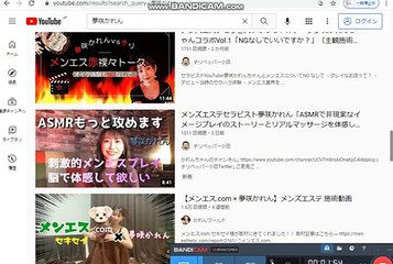 bcam_YouTube年齢制限コンテンツ