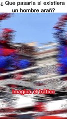 ¿ Que pasaría si existiera un hombre araña real?