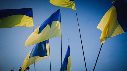 Charlotte Gainsbourg, Sting, Sean Penn … Les célébrités élèvent leur voix pour une terrible cause