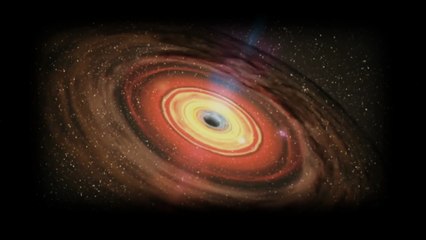 Dark Matter: The Invisible Skeleton of the Universe