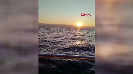 Büyük sürpriz! Balıkçılar balinayla burun buruna geldi