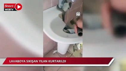 Lavaboya sıkışan yılan kurtarıldı
