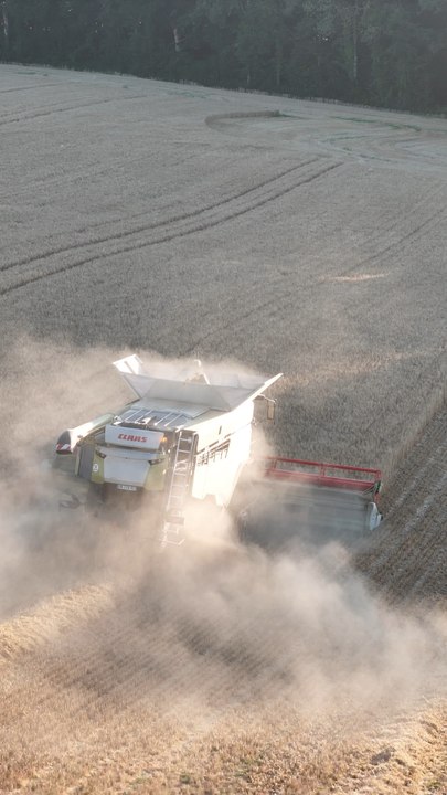 Lexion 7500 TT - Vario 930