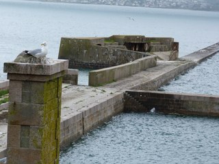 Au large de Cherbourg, des visites proposées cet été sur l'île Pelée