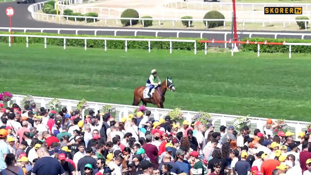 Türk at yarışçılığının derbisi Gazi Koşusu'nu Ahmet Çelik kazandı! Şampiyon at Cutha (TAY TV - Hipodrom.com yarış özeti)