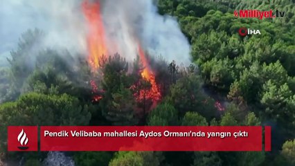 Aydos Ormanı'nda yangın kısa sürede kontrol altına alındı