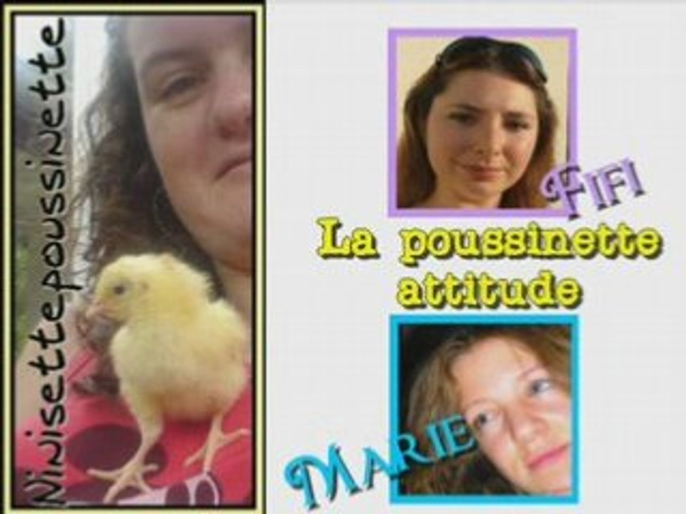 La poussinette attitude