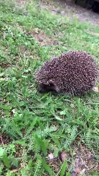 What a unique visitor :)
