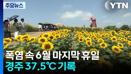 폭염경보 속 6월 마지막 휴일...경주 37.5℃, 올 최고 기록 / YTN