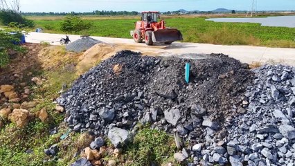 Start New Roads Project !Landfill Flooded Pond area! Truck 25 -Ton Unload Bulldozer Push Stone