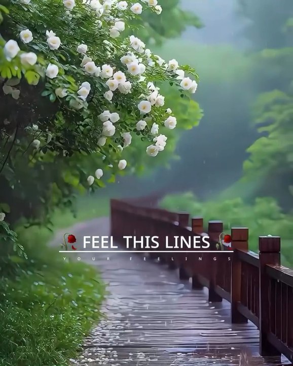 THE_TRUE_LINES