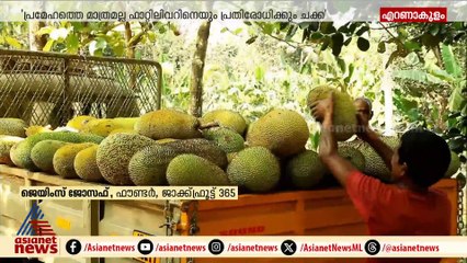 ചക്കയൊരു സംഭവമാ; ജാക്ഫ്രൂട്ട് 365 വിപണിയിലെത്തിച്ച് ജെയിംസ് ജോസഫ്