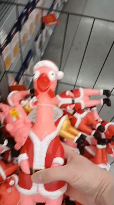 Squeaky chicken toy!