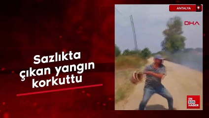 Antalya'da sazlıkta çıkan yangın korkuttu