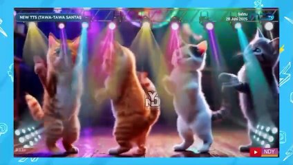 Tawa Tawa Santai EP26