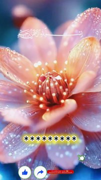 یا اللہ جب دل تھک جائے جب آنکھوں میں آنسو چھپ نہ سکیں جب امیدیں بکھرنے لگیں، تو بس تُو اپنی رحمت کی چادر میں ہمیں چھپا لے ❣️اے دلوں کے حال جاننے والے… جو ہم زبان سے نہیں کہہ سکتے، وہ تُو دل کی دھڑکنوں سے سن لے۔ ❣️اے میرے رب تو ہمیں اس درد سے بھی نواز دے،