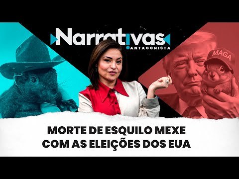 Morte de esquilo mexe com as eleições dos EUA | Narrativas #263 com Madeleine Lacsko
