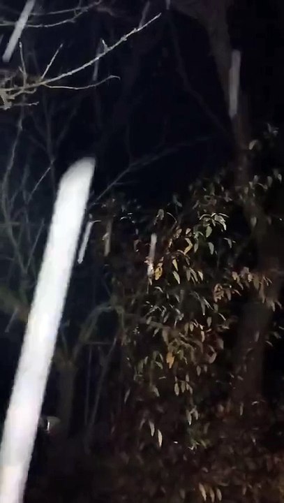 Nieve en Balcozna