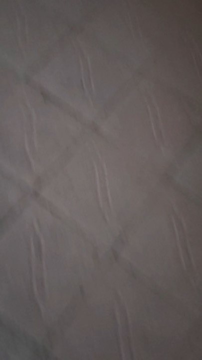 Cat Angry