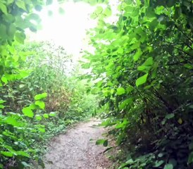 Sympathique sortie VTT à 10 avec une superbe chute du Carlos…