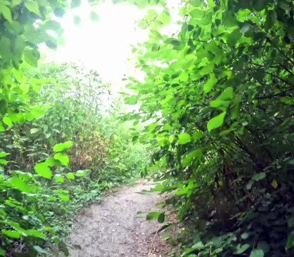 Sympathique sortie VTT à 10 avec une superbe chute du Carlos…