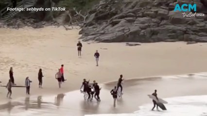 Onlookers praised for quick response after teen's shark attack at popular beach