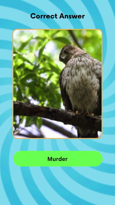 Can You Score 5/5 in This Ultimate IQ Battle Zone?#QuizChallenge #DailyIQTest #challenge #foryoupage❤️❤️ #examprep #foruyou #Only1Percent #treanding #trends