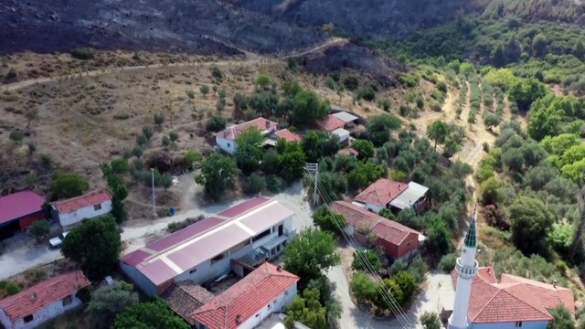 Manisa'nın Akhisar ilçesinde çıkan orman yangınına müdahale sürüyor