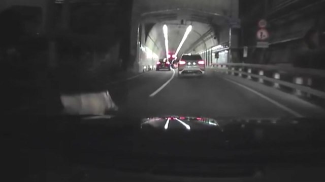 서울 도심에 멧돼지 또 출몰...주택가 활보 / YTN