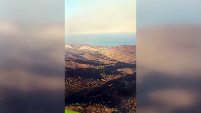 İzmir'in Menderes ve Seferihisar ilçelerinde çıkan orman yangınlarına müdahale sürüyor