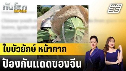 จีนผุดไอเดียนำใบบัวยักษ์มาทำเป็นหน้ากากกันแดด |ทันโลก EXPRESS | 30 มิ.ย. 68