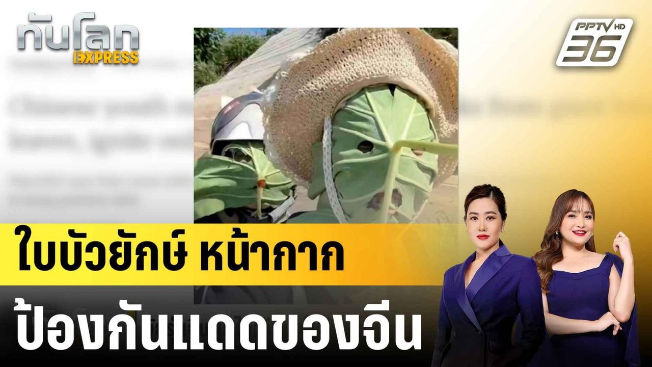 จีนผุดไอเดียนำใบบัวยักษ์มาทำเป็นหน้ากากกันแดด |ทันโลก EXPRESS | 30 มิ.ย. 68