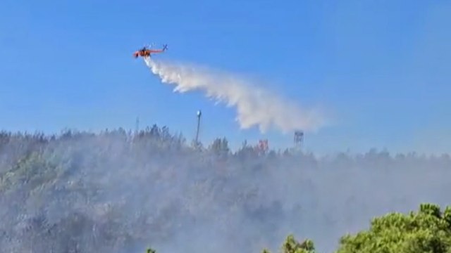 Antalya’nın Gazipaşa ilçesinde orman yangını
