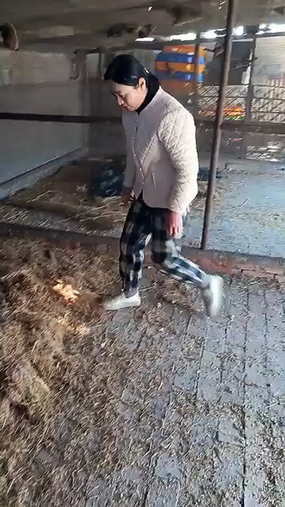 The adorable squirrels