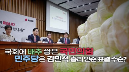 [영상] 국회에 '포기배추' 쌓인 이유는?...국민의힘, '김민석 국민청문회' / YTN