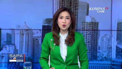 Lumba-Lumba Sepanjang 3 Meter Mati Terdampar di Jembrana, Diduga Korban Perburuan Liar