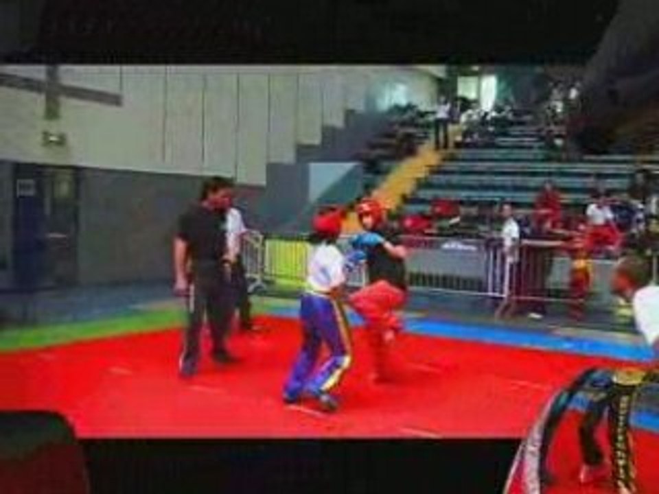 French Trophy 2008 / Tournoi WKA de semi contact clip 2