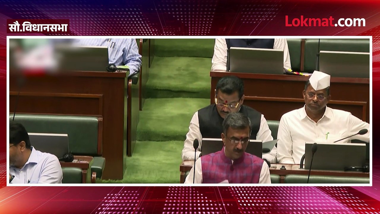सुधीर मुनगंटीवारांना राहुल नार्वेकरांनी का बोलू...
